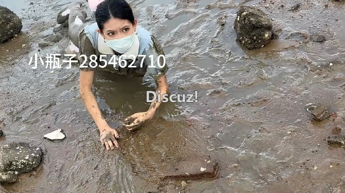020821tceiuku2grccqqqk.jpg
