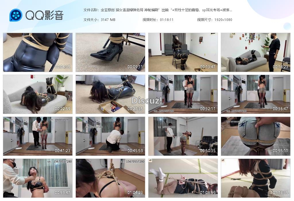 金宝原创 猫女盖盖爆弹危局 神秘编剧”出[20260212-002900].jpg