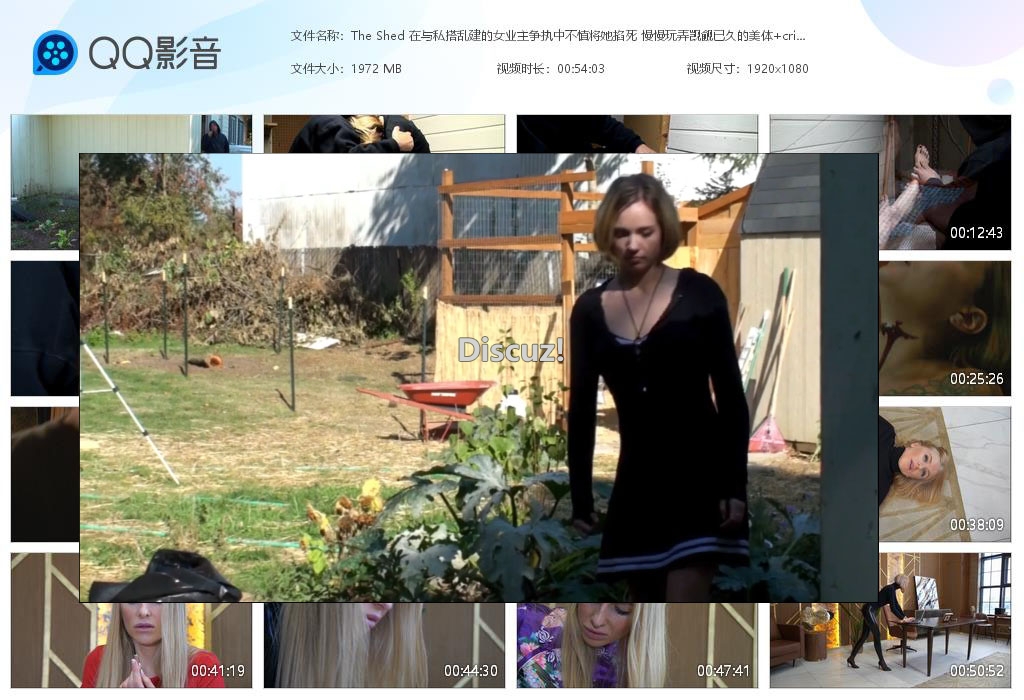 The Shed 在与私搭乱建的女业主争[20260906-041534].jpg